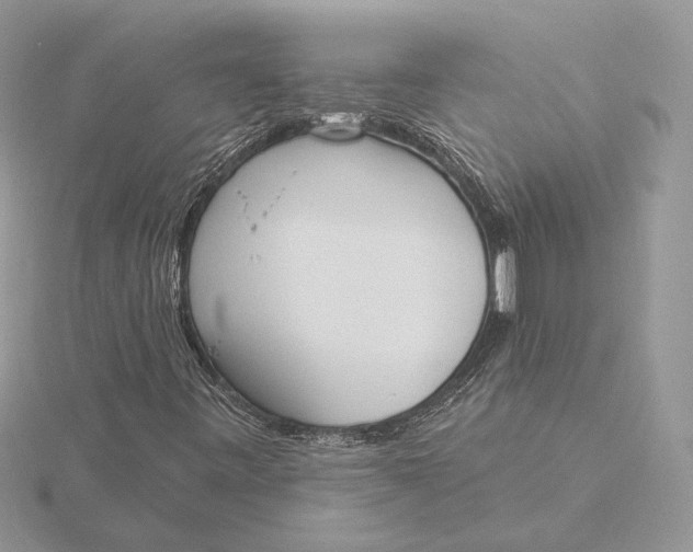 X0000116151443200912071254