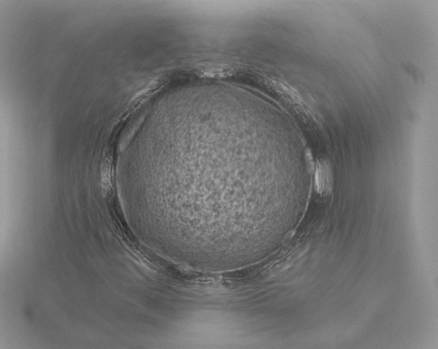 X0000116151444200912071254