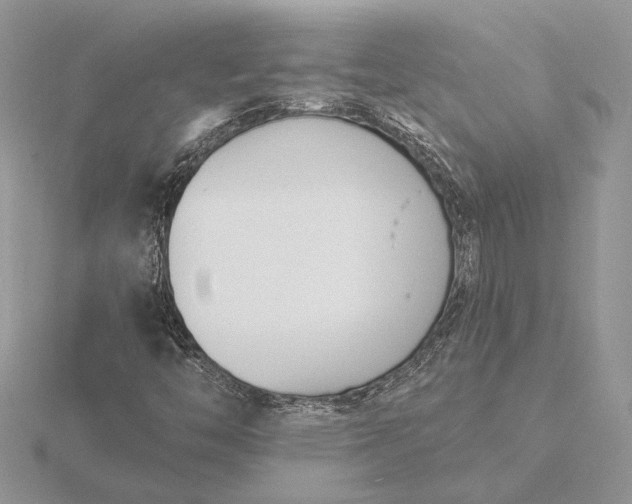 X0000116151446200912071254