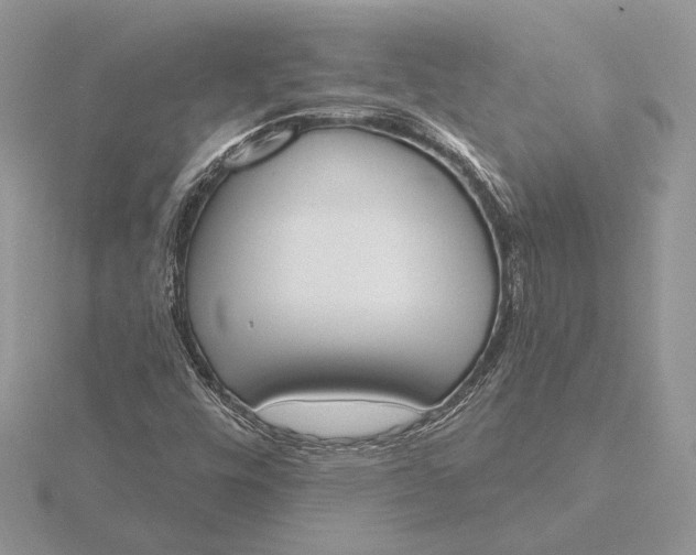 X0000116151448200912071254