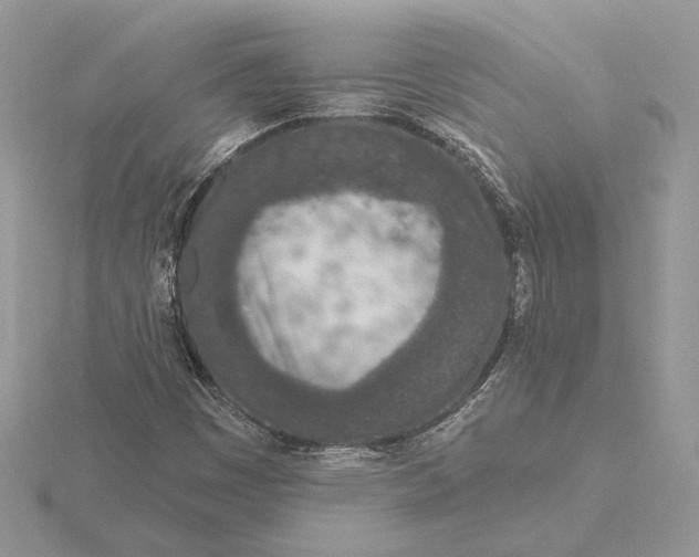 X0000116151449200912071254