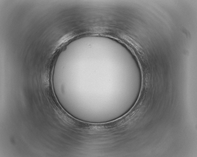 X0000116151451200912071253