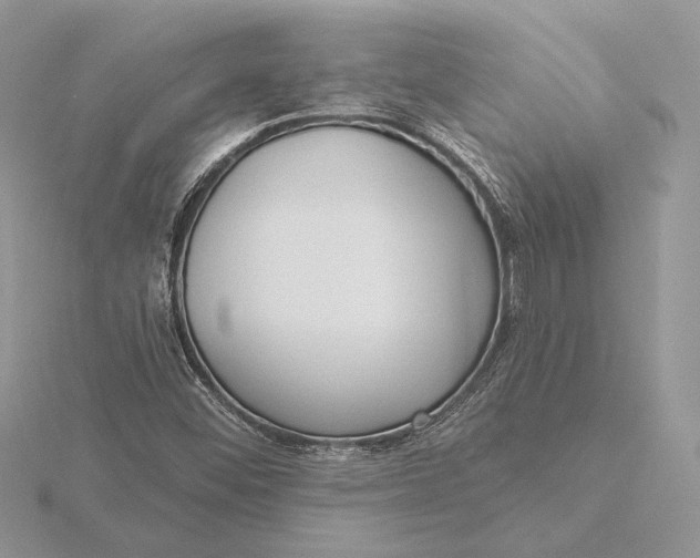 X0000116151452200912071253