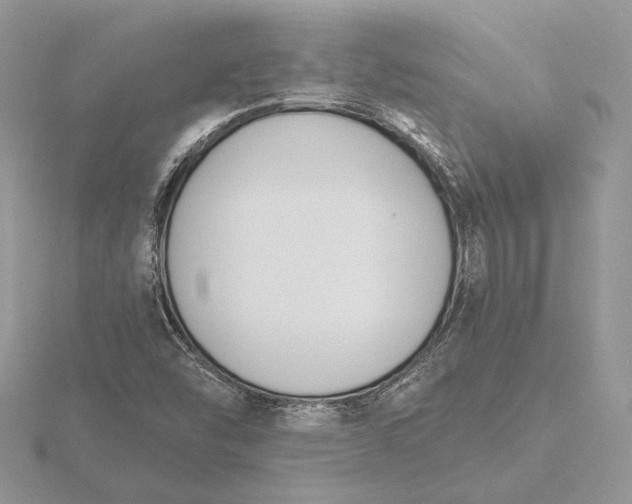 X0000116151454200912071253