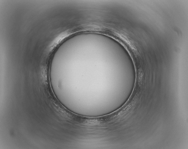 X0000116151455200912071253