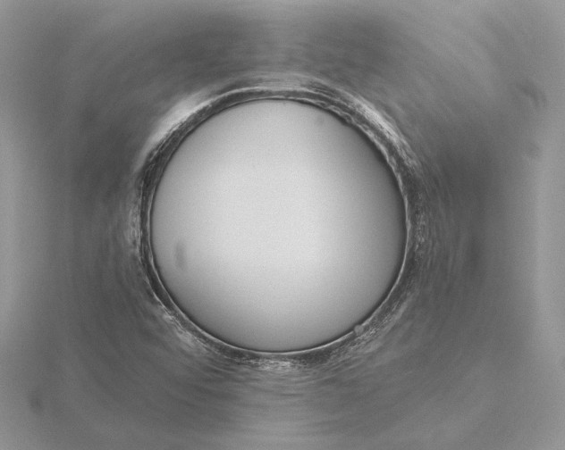 X0000116151456200912071253