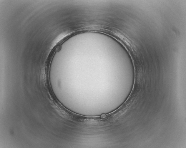 X0000116151458200912071253