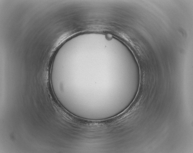 X0000116151459200912071253