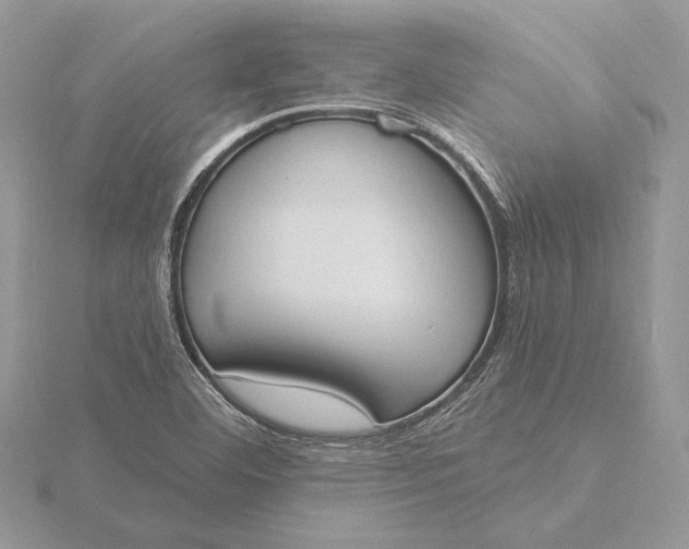 X0000116151460200912071253