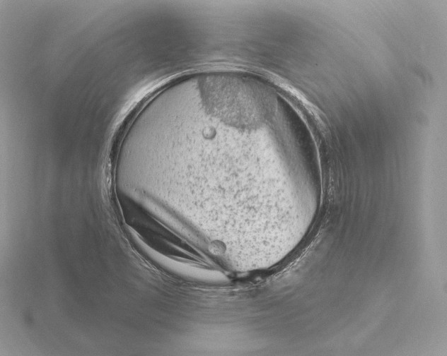 X0000116151461200912071253