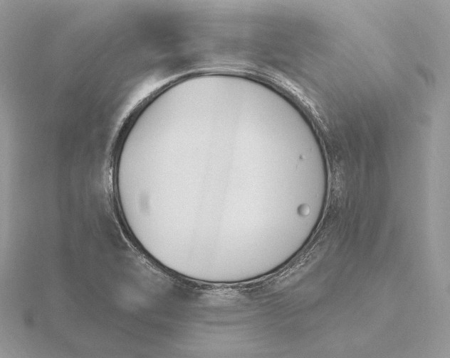 X0000116151462200912071253