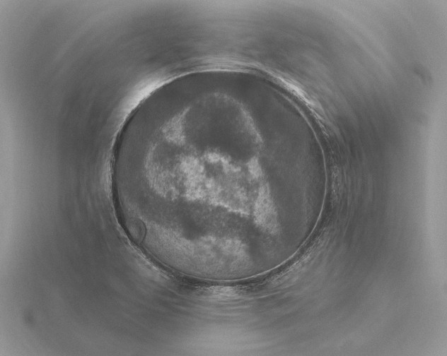 X0000116151463200912071253