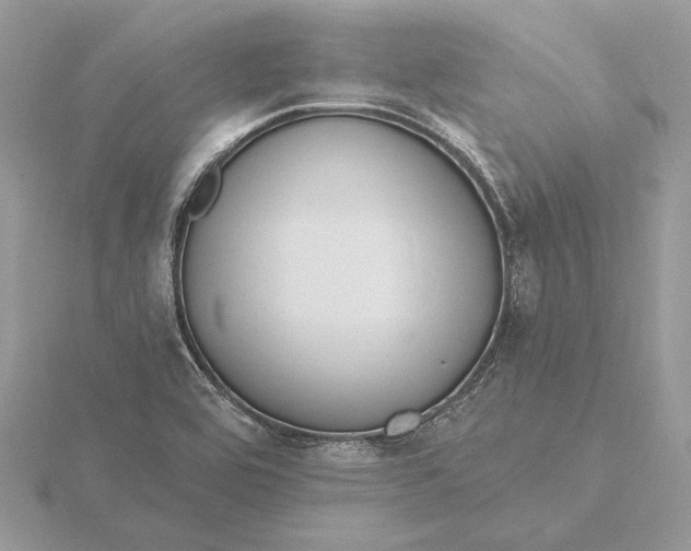 X0000116151464200912071253