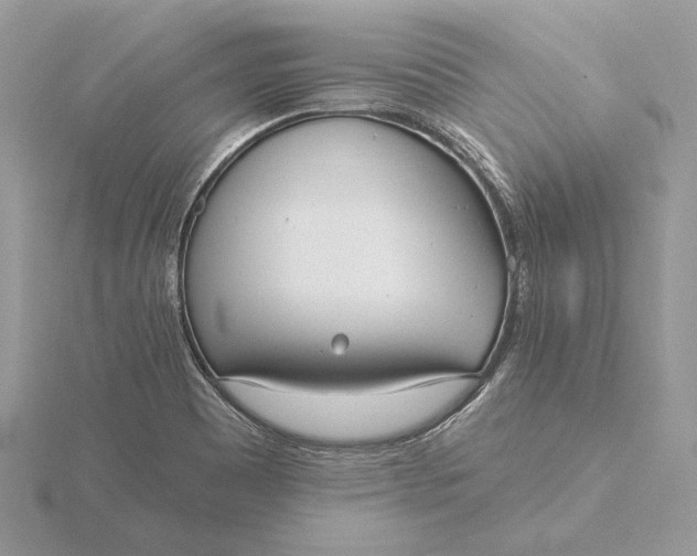 X0000116151465200912071253