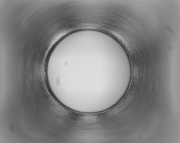 X0000116151466200912071253