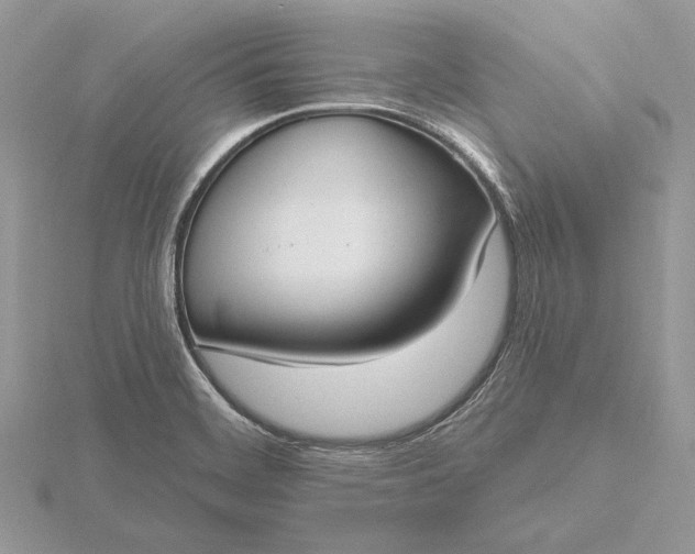 X0000116151468200912071253