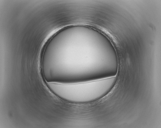 X0000116151469200912071253