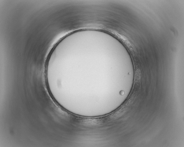 X0000116151470200912071253