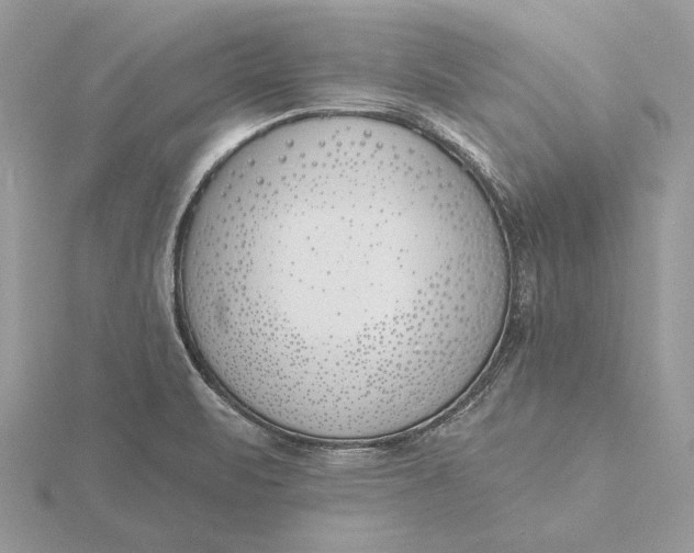 X0000116151471200912071253