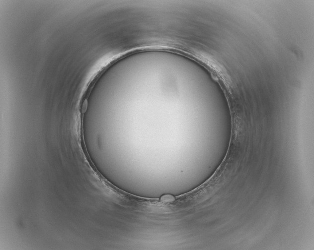 X0000116151472200912071253