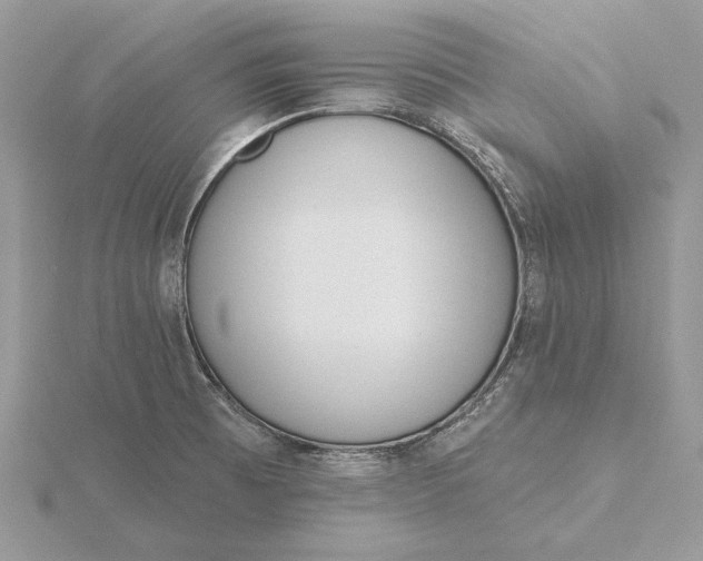 X0000116151473200912071253