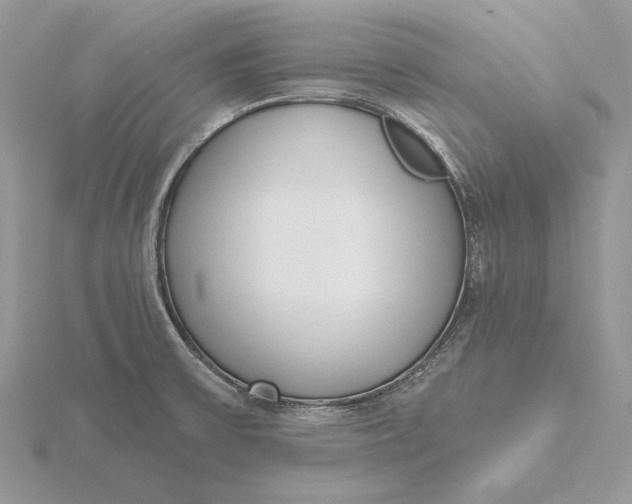 X0000116151475200912071253