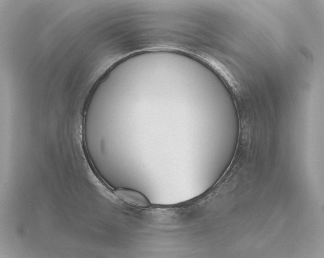 X0000116151476200912071253