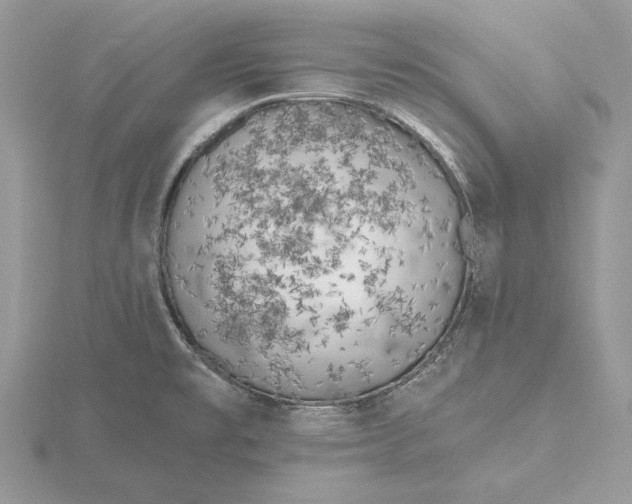 X0000116151477200912071253