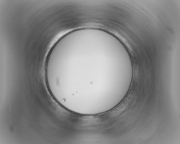 X0000116151478200912071253