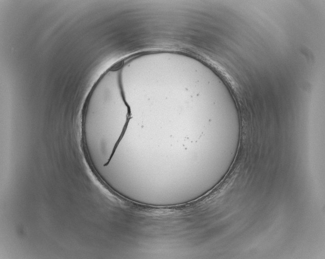 X0000116151479200912071253