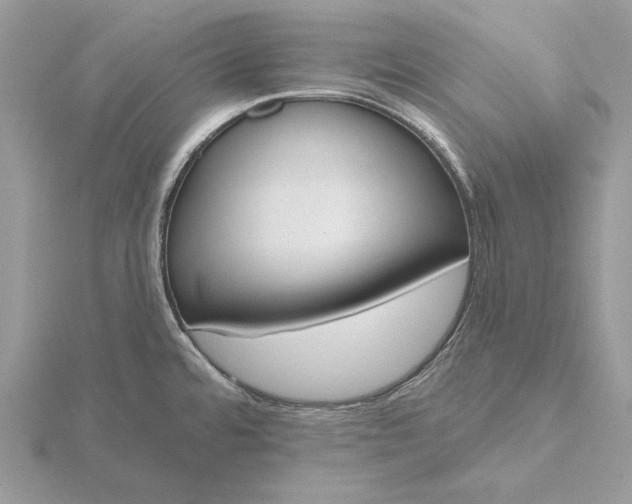 X0000116151480200912071253