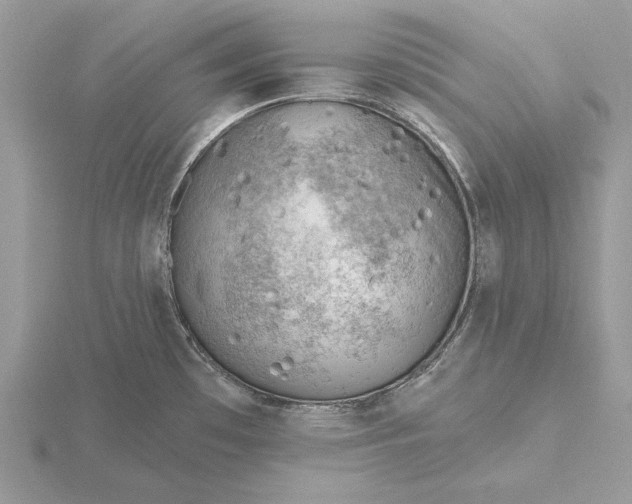 X0000116151481200912071253