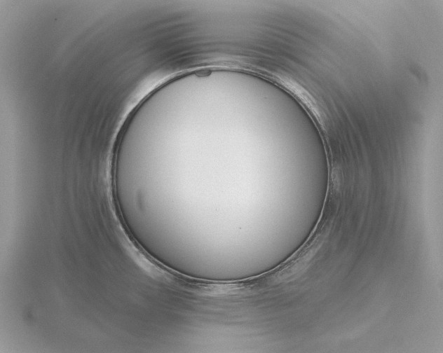 X0000116151482200912071253