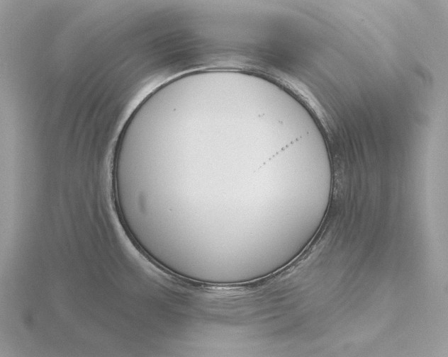 X0000116151483200912071253