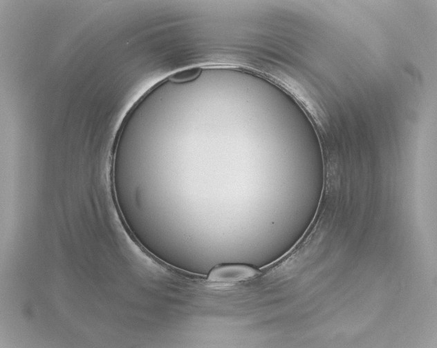 X0000116151484200912071253