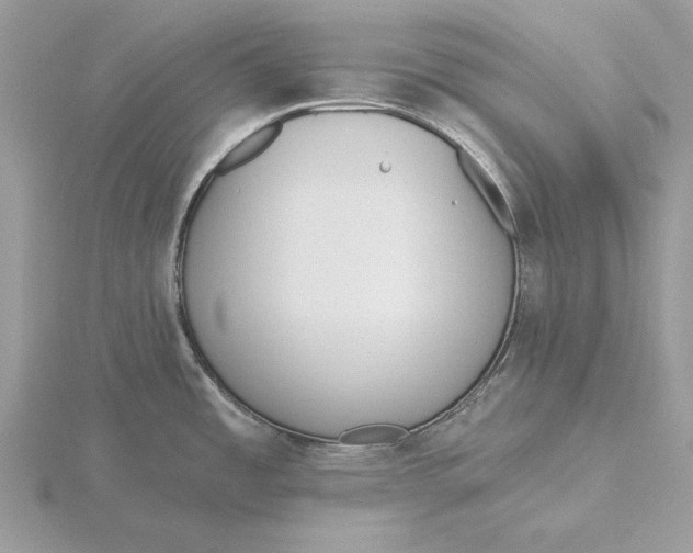 X0000116151485200912071253