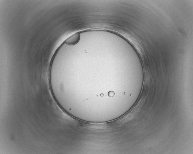 X0000116151486200912071253