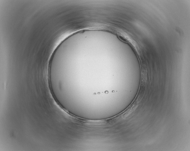 X0000116151487200912071253