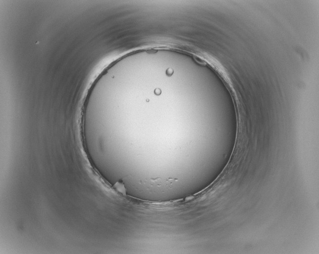 X0000116151488200912071253