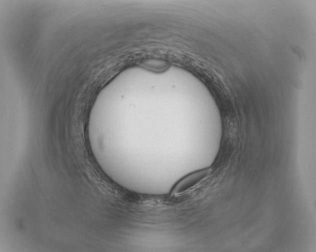 X0000116151489200912071252