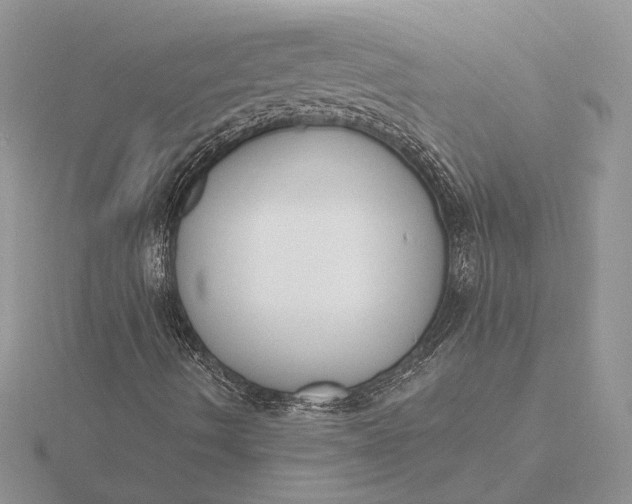 X0000116151490200912071252