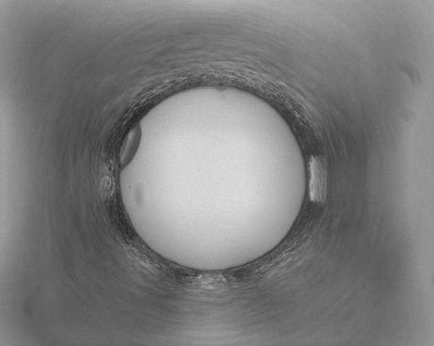 X0000116151491200912071252