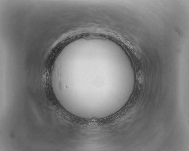 X0000116151495200912071252