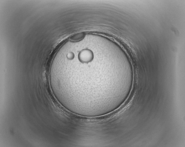 X0000116151497200912071253