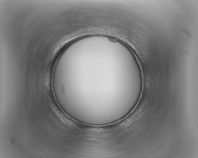 X0000116151499200912071253