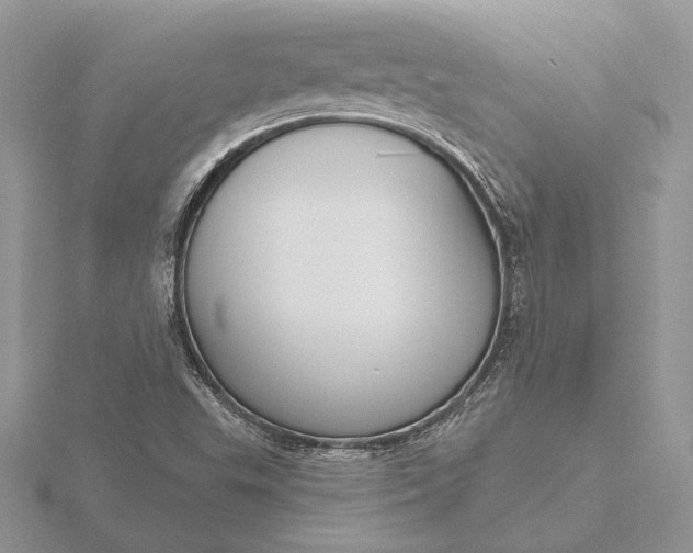 X0000116151503200912071253