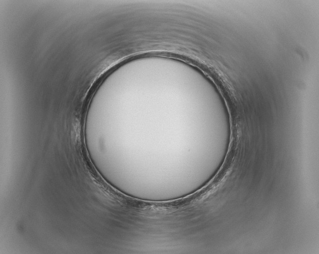 X0000116151505200912071253