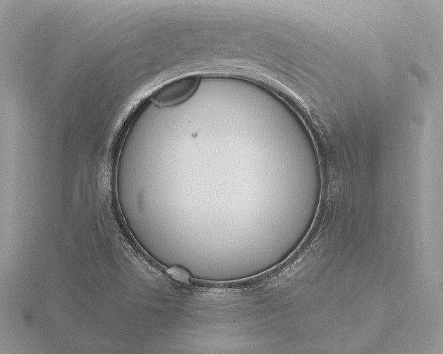 X0000116151506200912071253