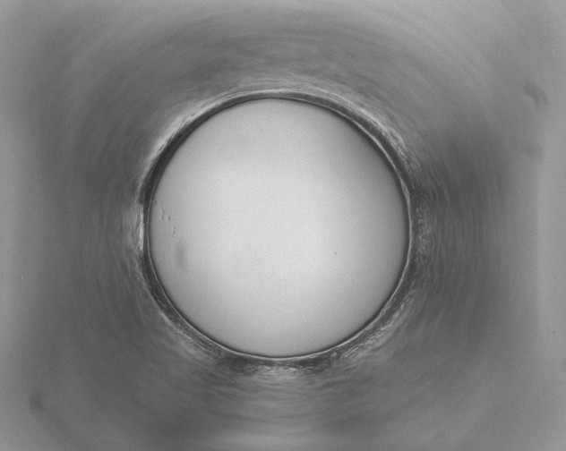 X0000116151509200912071253