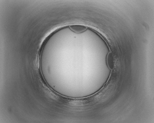 X0000116151510200912071253